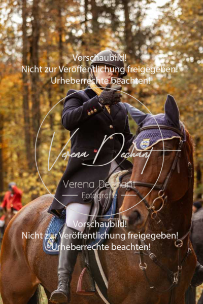 Schleppjagd_Harburg-630