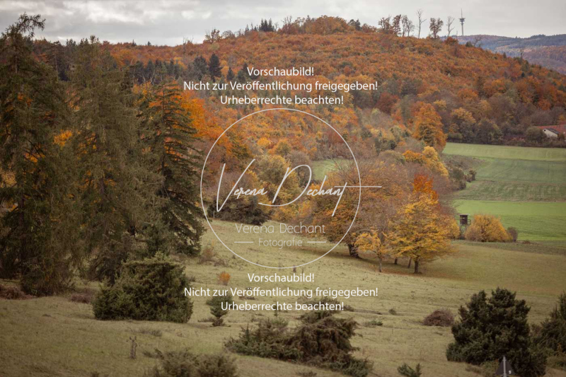 Schleppjagd_Harburg-635