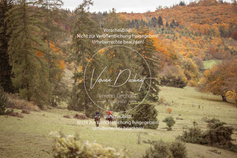 Schleppjagd_Harburg-648