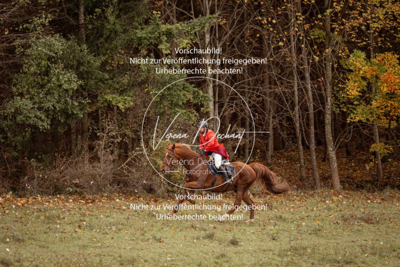 Schleppjagd_Harburg-654