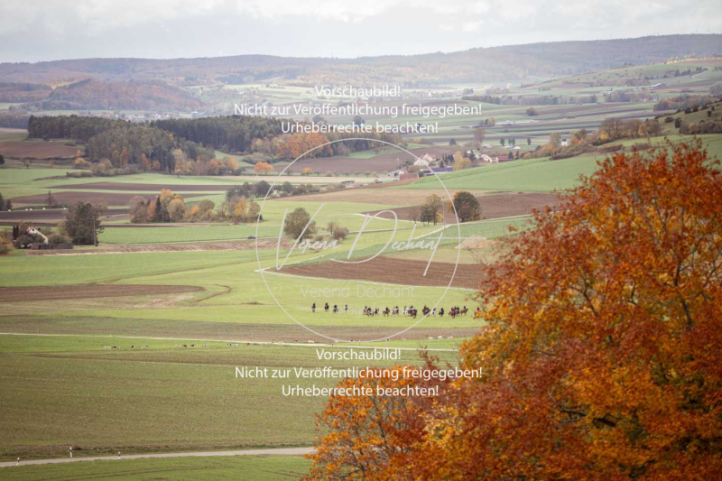 Schleppjagd_Harburg-662