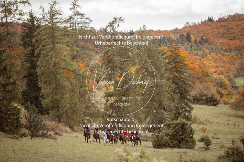 Schleppjagd_Harburg-690