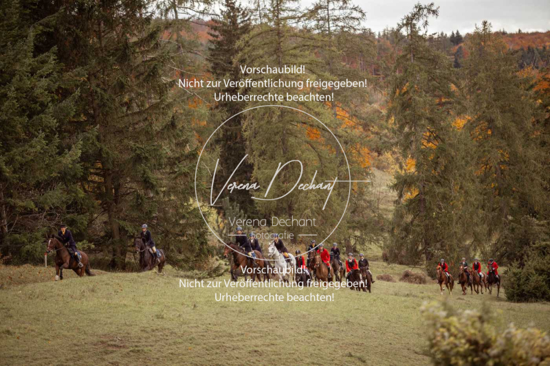 Schleppjagd_Harburg-696