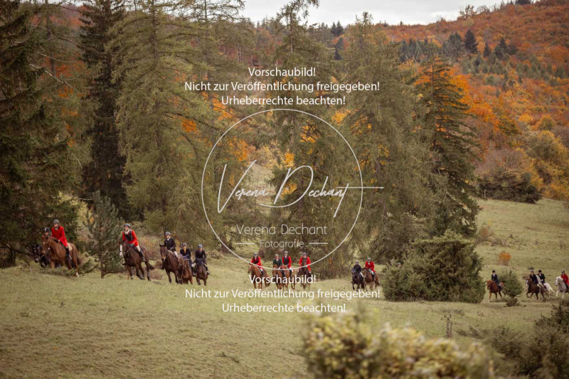 Schleppjagd_Harburg-699