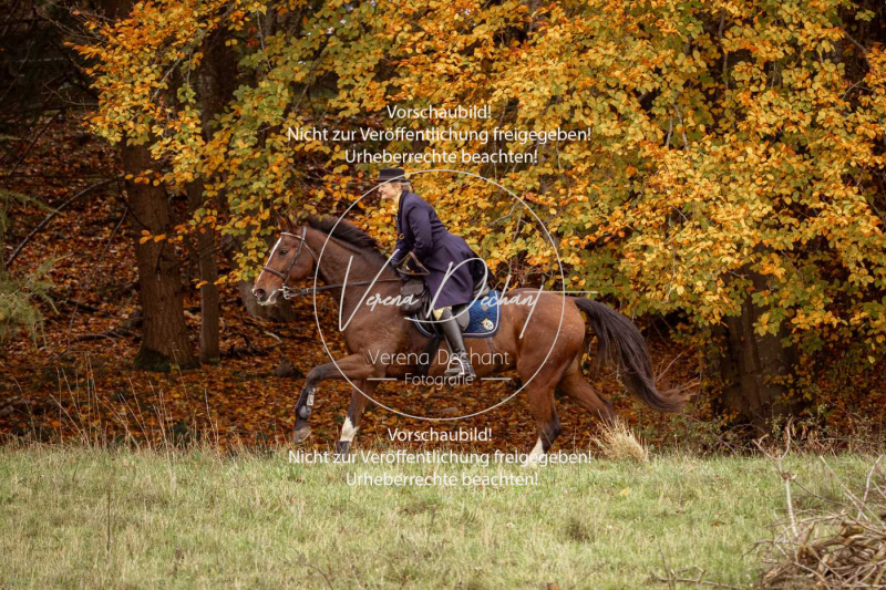 Schleppjagd_Harburg-706