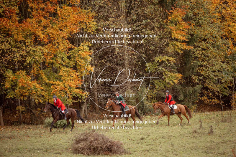 Schleppjagd_Harburg-714