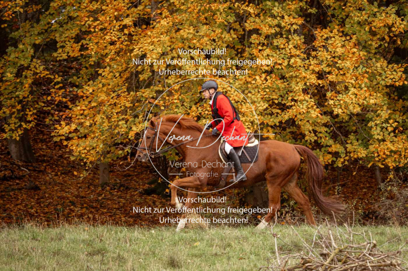 Schleppjagd_Harburg-725