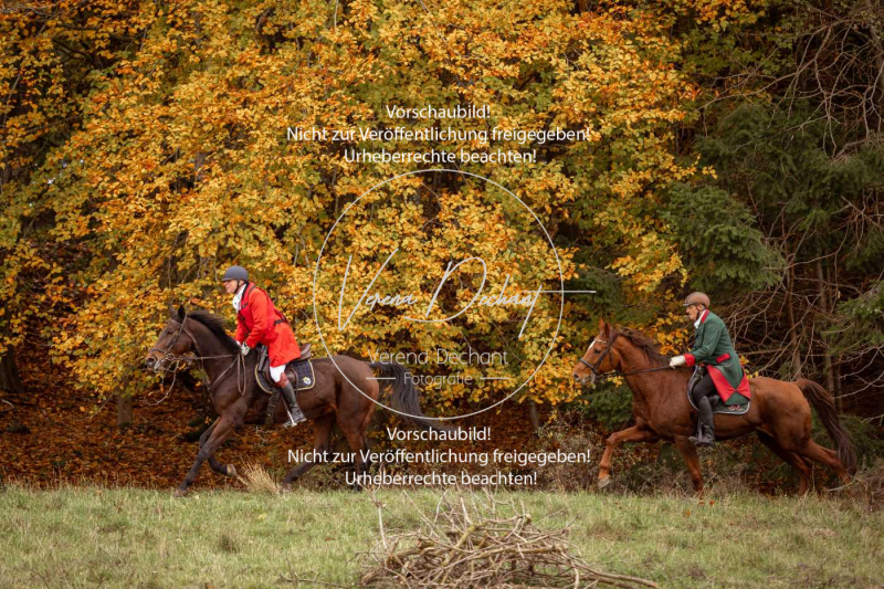 Schleppjagd_Harburg-726