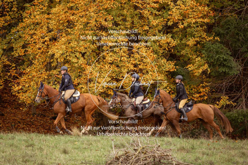 Schleppjagd_Harburg-734