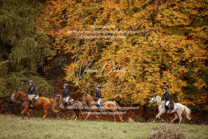 Schleppjagd_Harburg-737