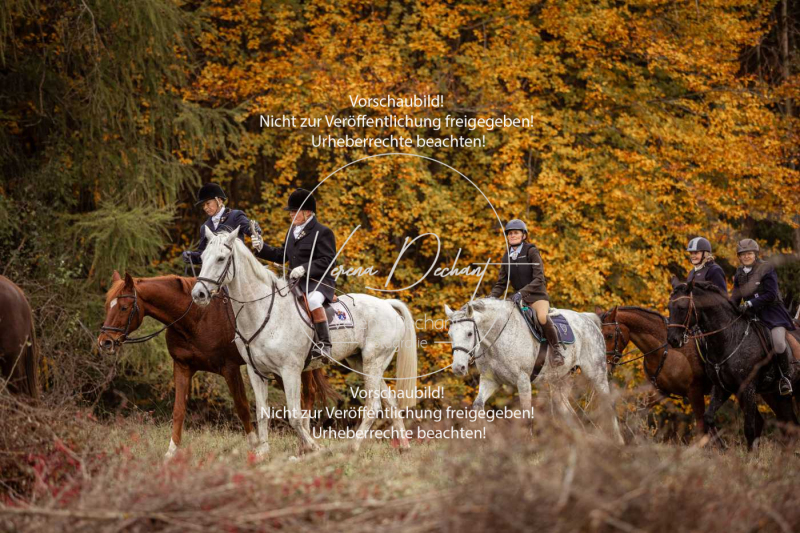 Schleppjagd_Harburg-757