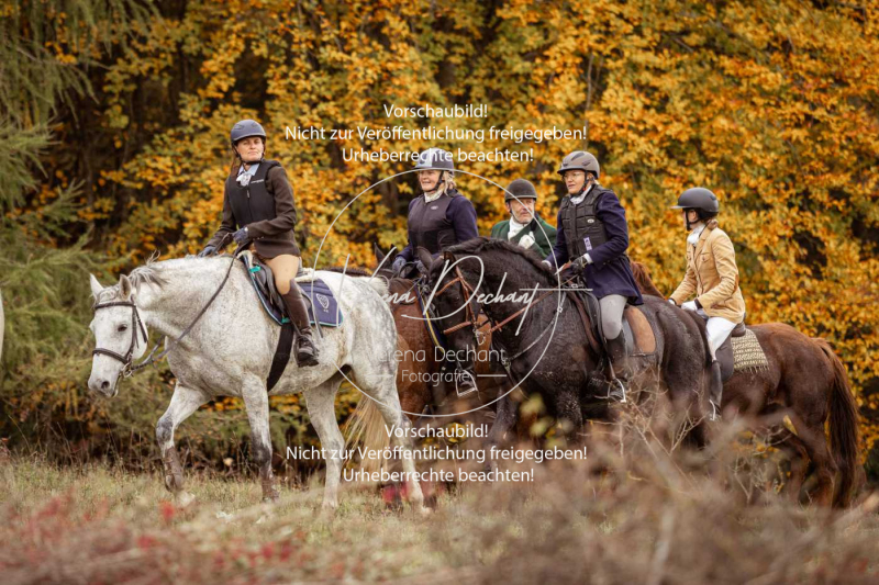 Schleppjagd_Harburg-759