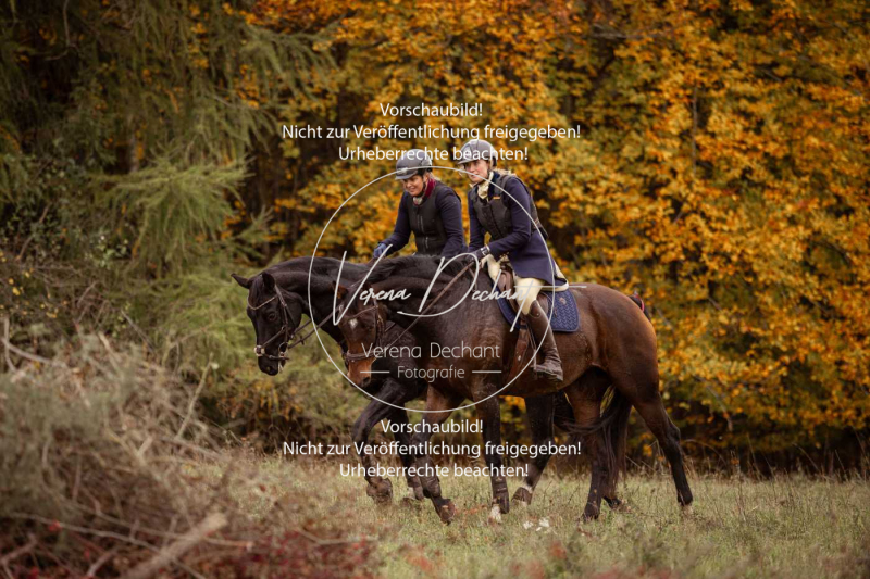 Schleppjagd_Harburg-764