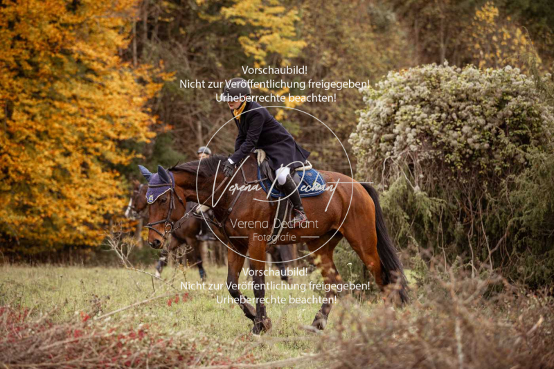 Schleppjagd_Harburg-767