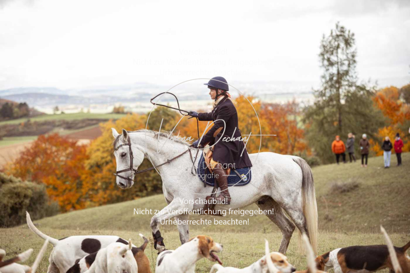 Schleppjagd_Harburg-774