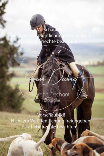 Schleppjagd_Harburg-778