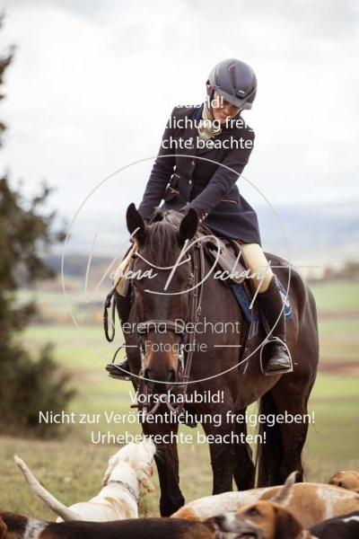 Schleppjagd_Harburg-779