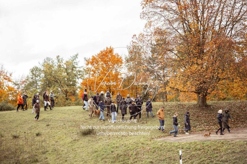 Schleppjagd_Harburg-785