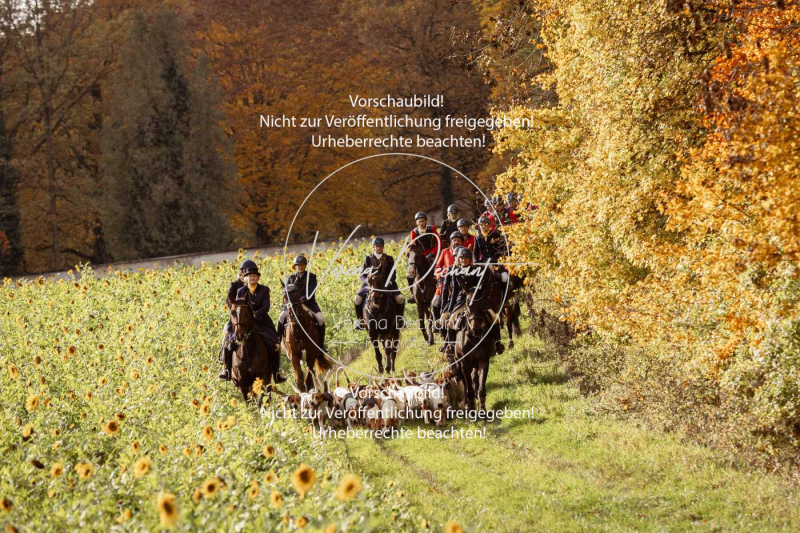 Schleppjagd_Harburg-794