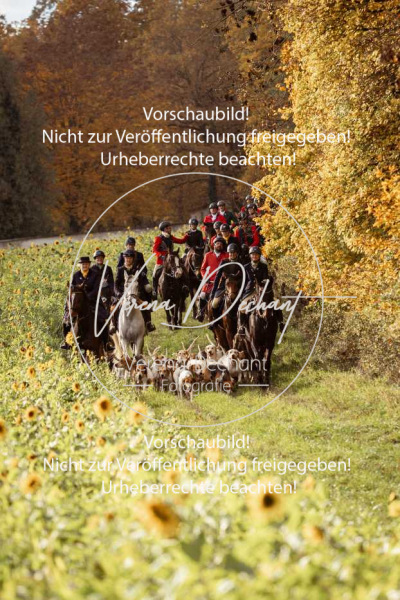 Schleppjagd_Harburg-796