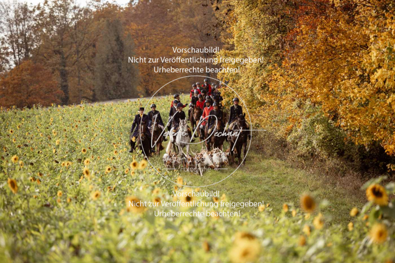 Schleppjagd_Harburg-797