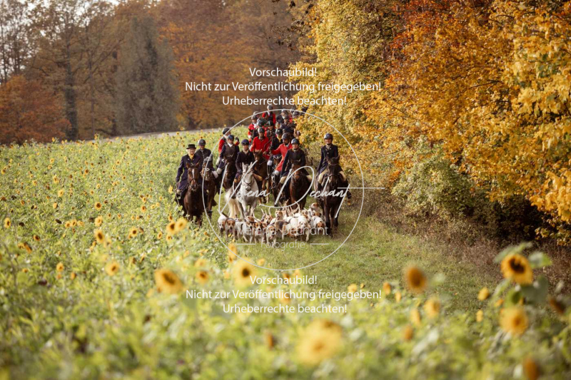 Schleppjagd_Harburg-798