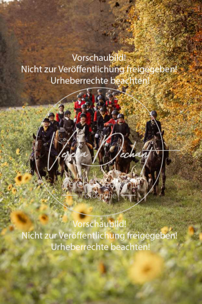 Schleppjagd_Harburg-799