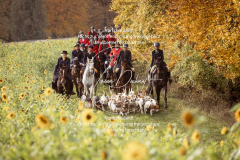 Schleppjagd Harburg 2025