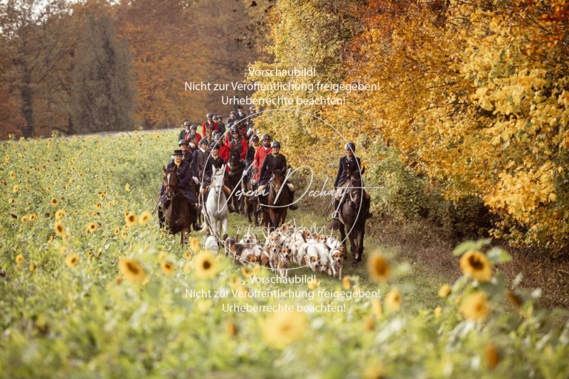 Schleppjagd_Harburg-801