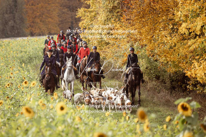 Schleppjagd_Harburg-802