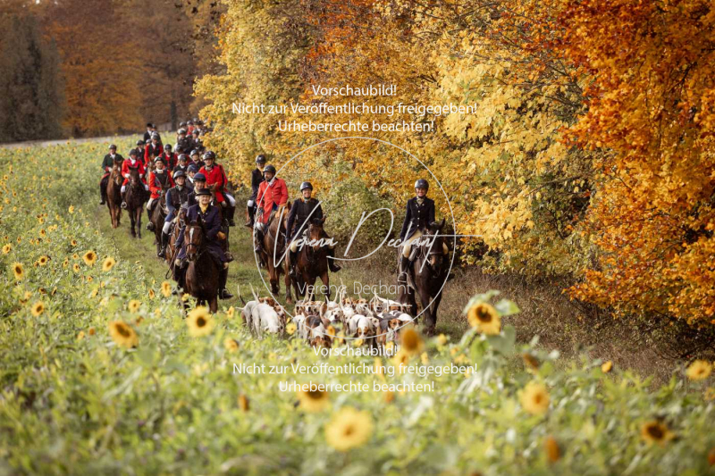 Schleppjagd_Harburg-805