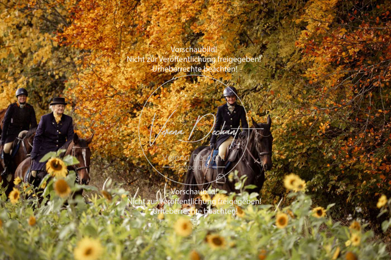 Schleppjagd_Harburg-808