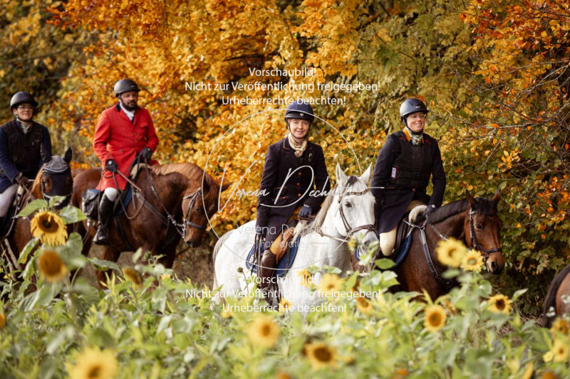 Schleppjagd_Harburg-812