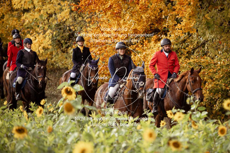 Schleppjagd_Harburg-814