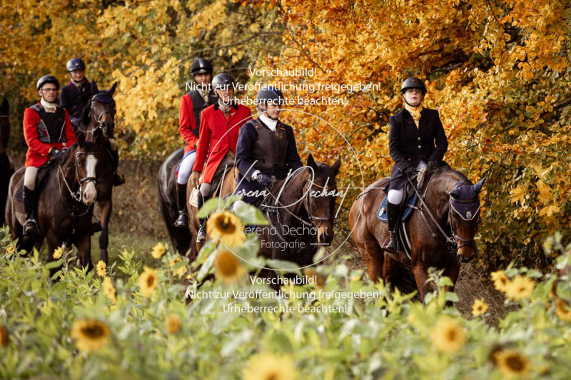 Schleppjagd_Harburg-816