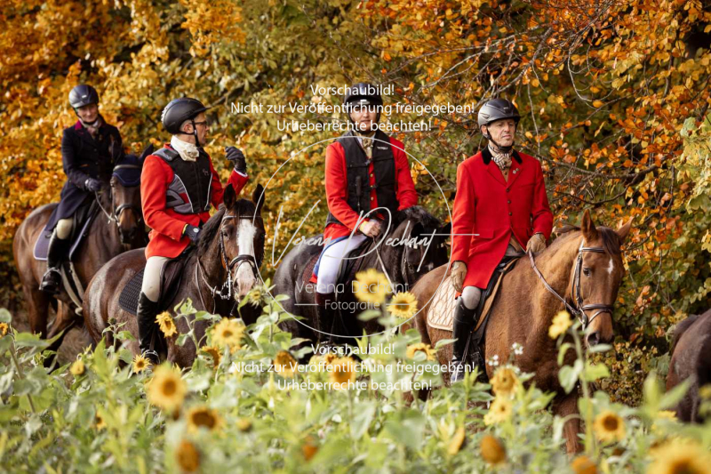 Schleppjagd_Harburg-819