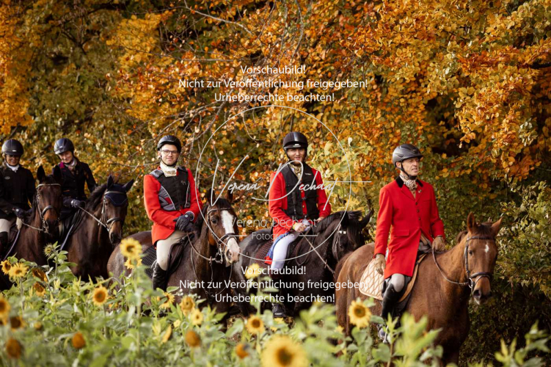 Schleppjagd_Harburg-821