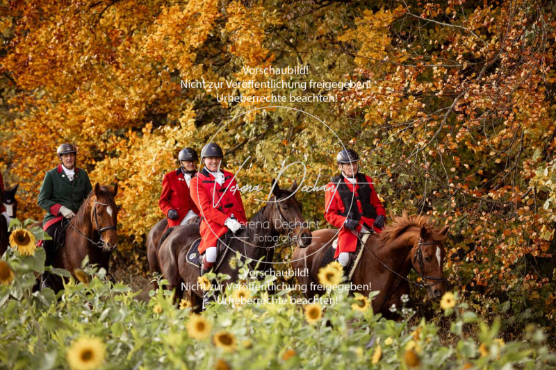 Schleppjagd_Harburg-825