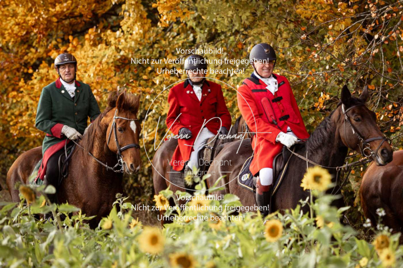 Schleppjagd_Harburg-826