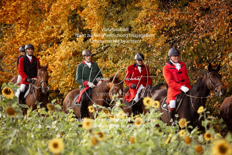 Schleppjagd_Harburg-827