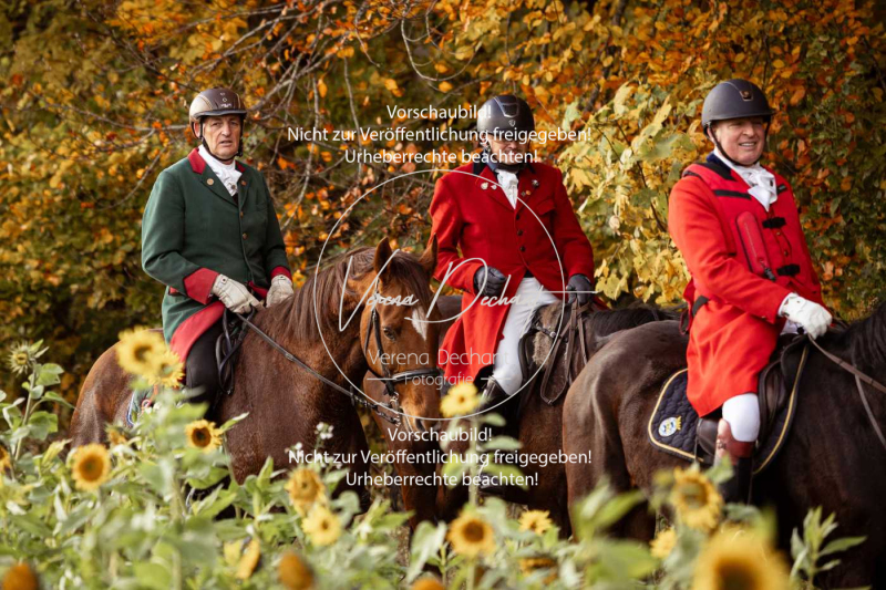 Schleppjagd_Harburg-828