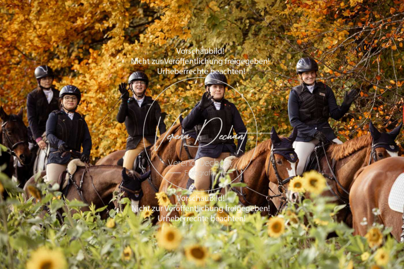 Schleppjagd_Harburg-831