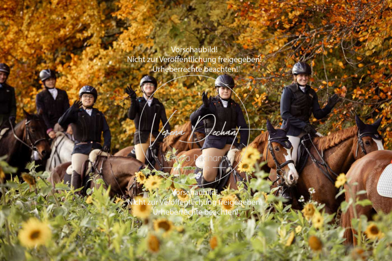 Schleppjagd_Harburg-832