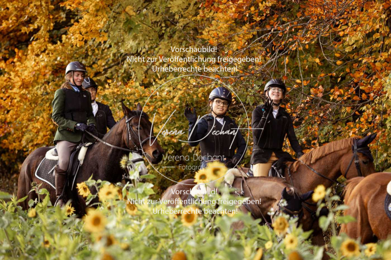 Schleppjagd_Harburg-834