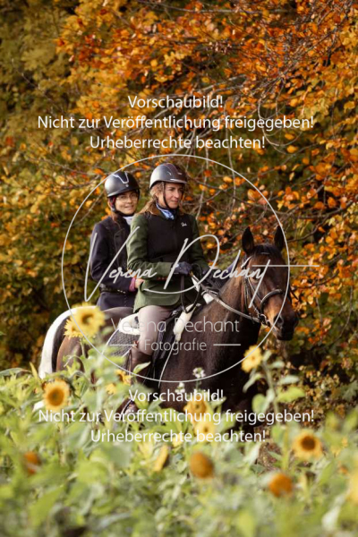 Schleppjagd_Harburg-836