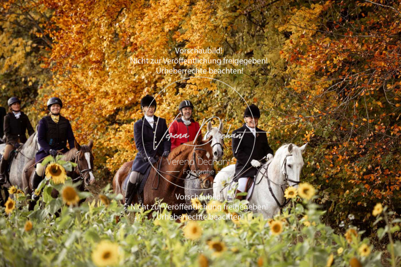 Schleppjagd_Harburg-838