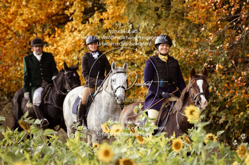 Schleppjagd_Harburg-841