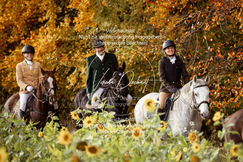 Schleppjagd_Harburg-843