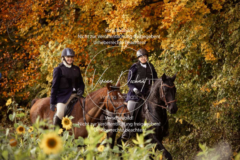 Schleppjagd_Harburg-853