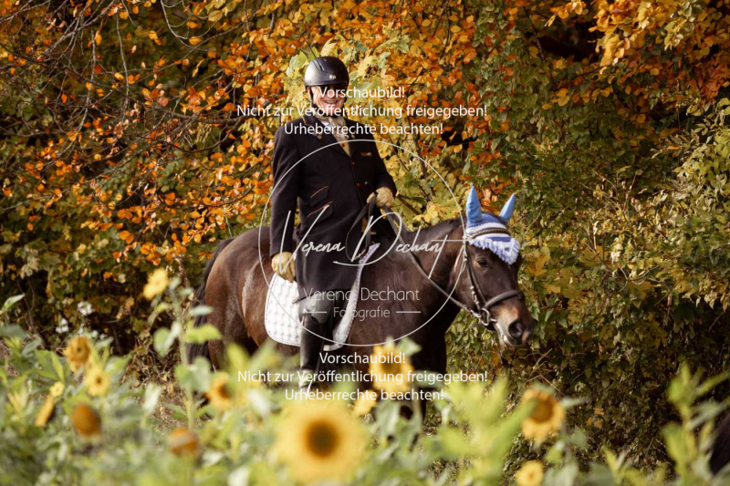 Schleppjagd_Harburg-855